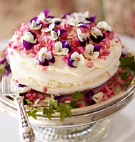 ѧ��������Ʒ